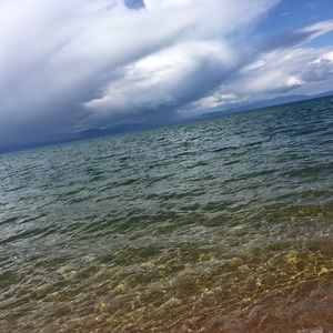 Meet your Posher, Raeann